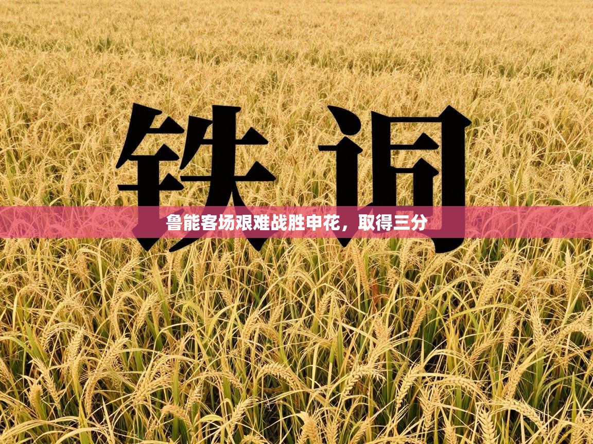 开云体育旧版下载地址-鲁能客场艰难战胜申花，取得三分  第2张