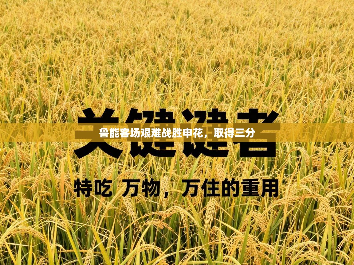 开云体育旧版下载地址-鲁能客场艰难战胜申花，取得三分  第4张