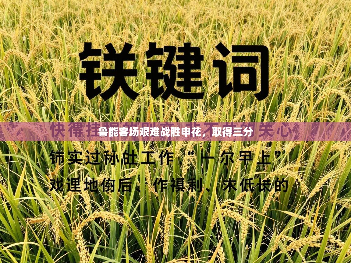 开云体育旧版下载地址-鲁能客场艰难战胜申花，取得三分  第3张